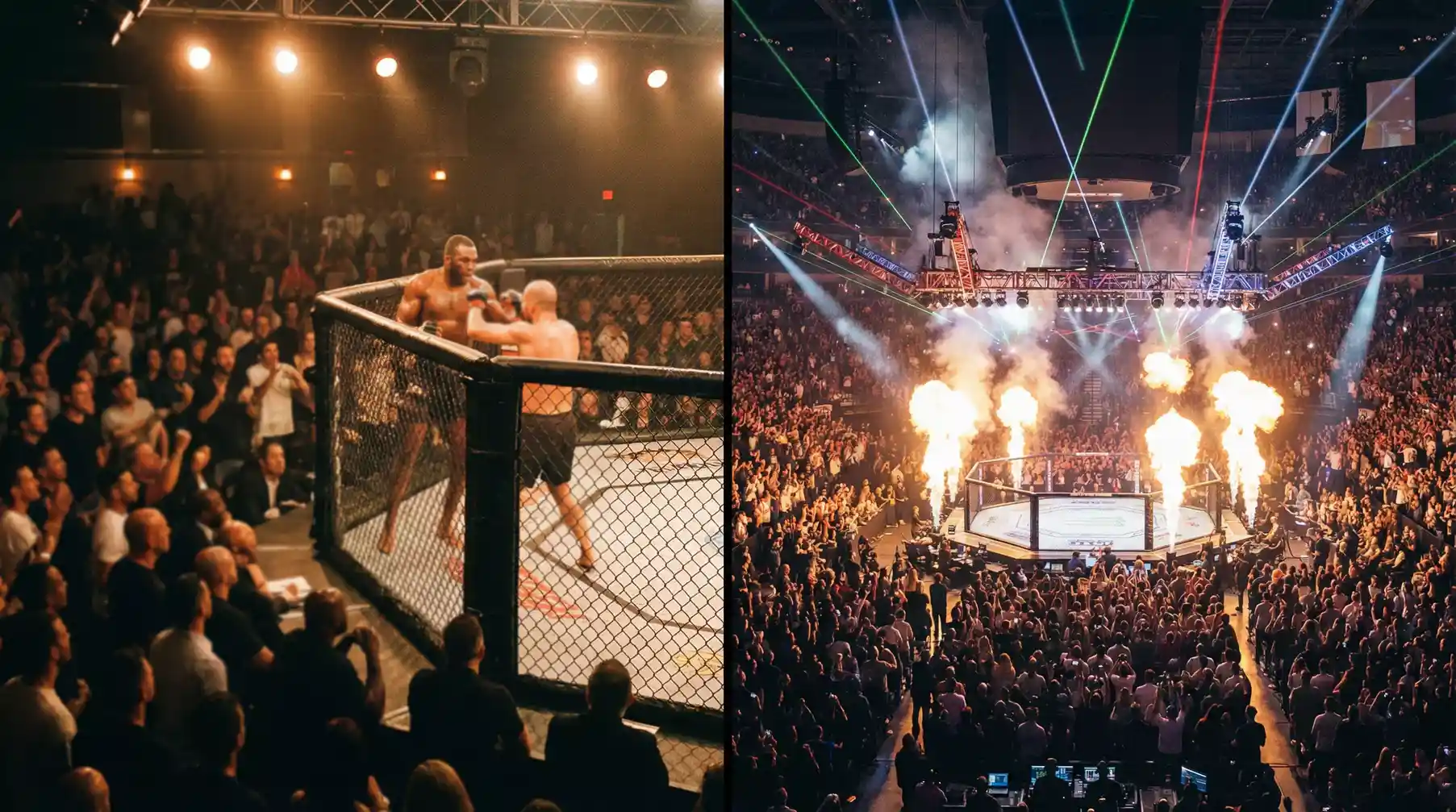 UFC Fight Night vs. PPV: Unterschiede bei Wettangebot und Strategie